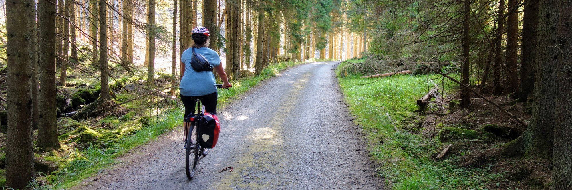 headerbeeld iron curtain trail