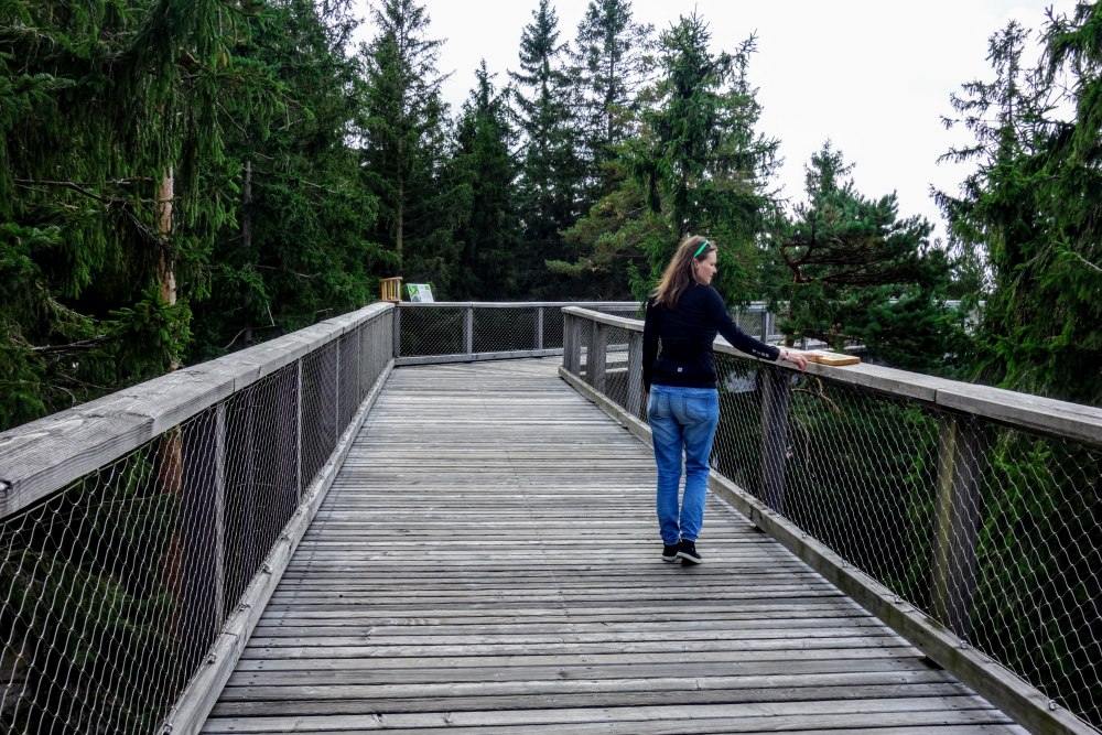 Wandelen tussen de boomtoppen, een  uitstapje tijdens de Iron Curtain Trail