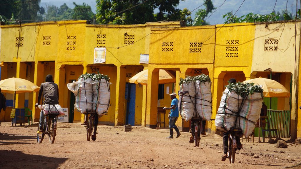 Fietsen door Rwanda met Awol