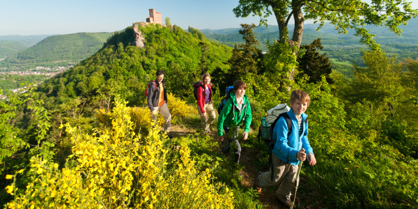 wandelen in Rheinpland-Pfalz