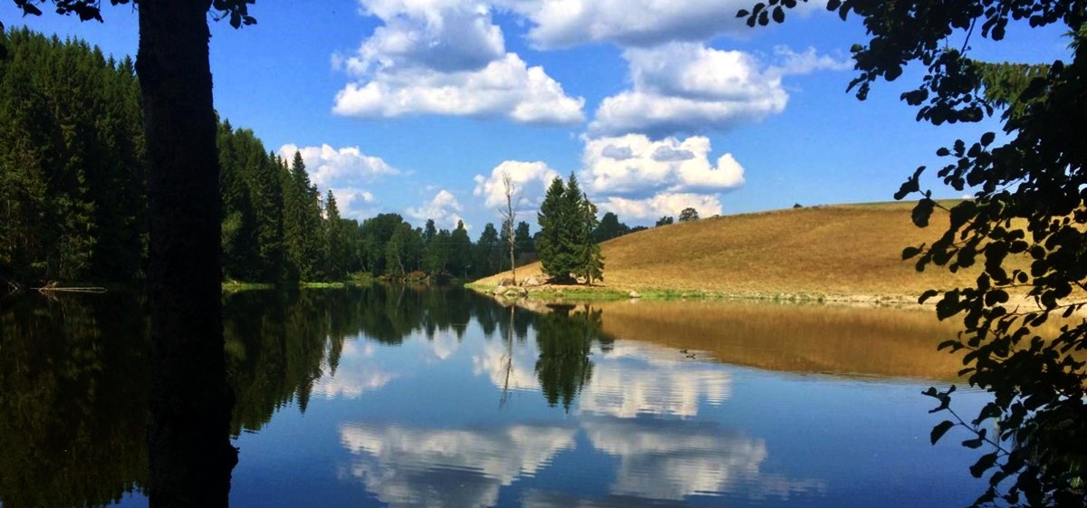 Stappen door de natuur tijdens pelgrimstochten in Italië en Noorwegen