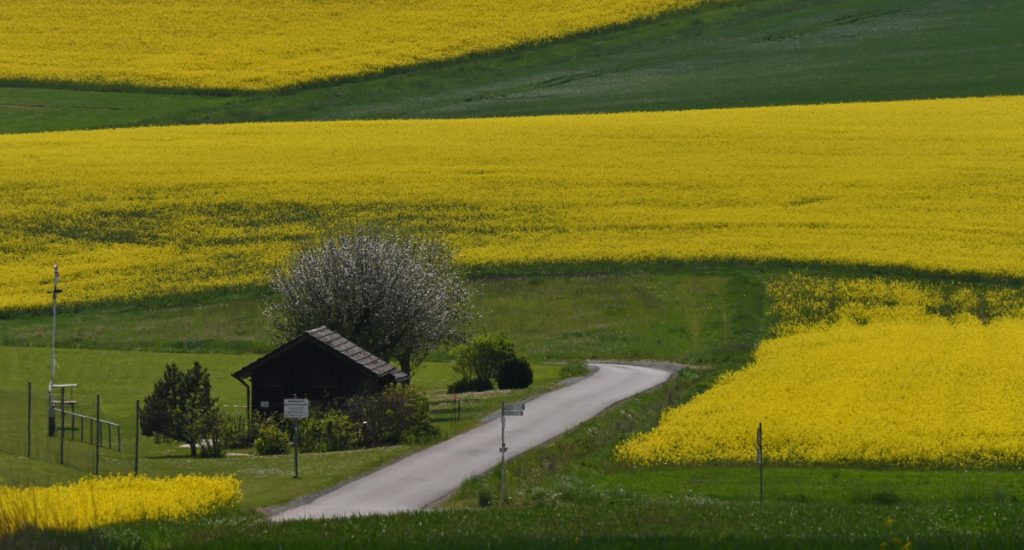 Op pad langs de Via Germanica