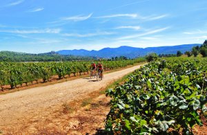 Fietsen in Penedès