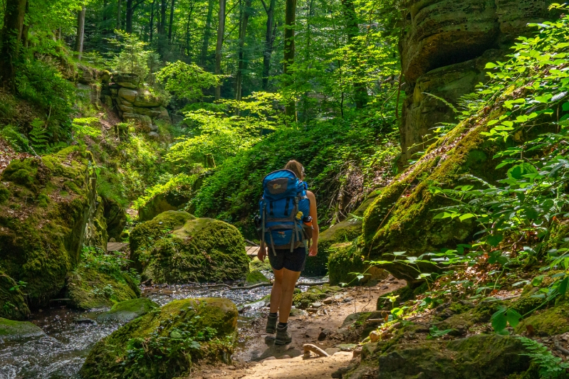 Wandelvakanties van Better Places in het Mullerthal