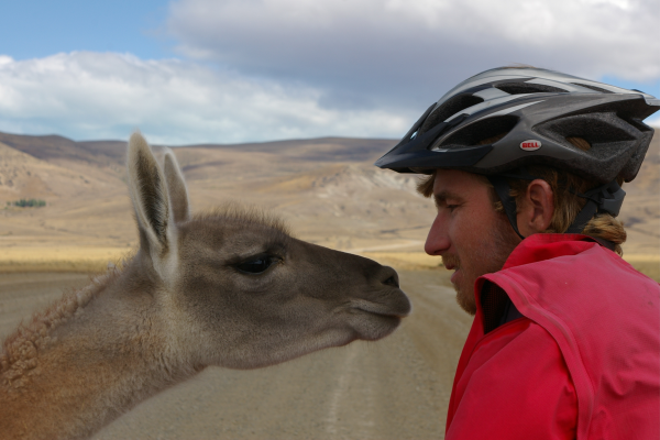 Ontmoeting onderweg met een lama, een foto-inzending van Christal van de Reep