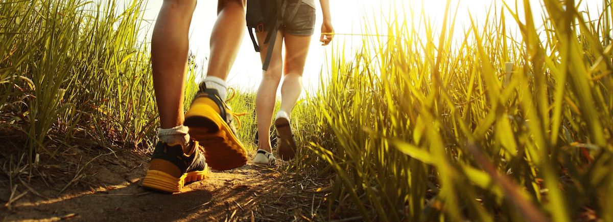 headerfoto wandeltestparcours op de Fiets en Wandelbeurs
