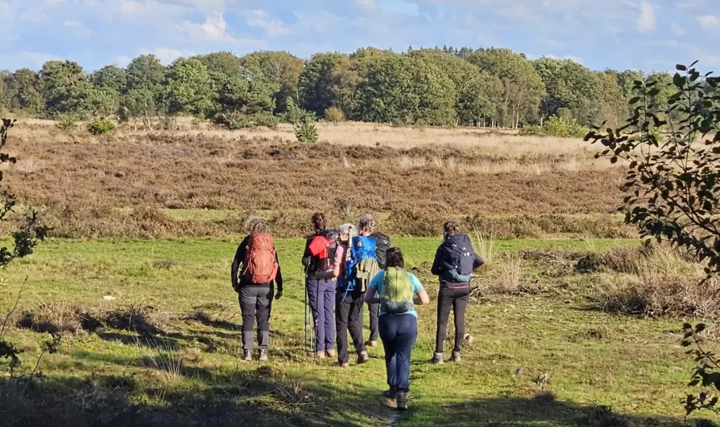 Een groep wandelaars in Drenthe tijdens een groepsreis van Better Places