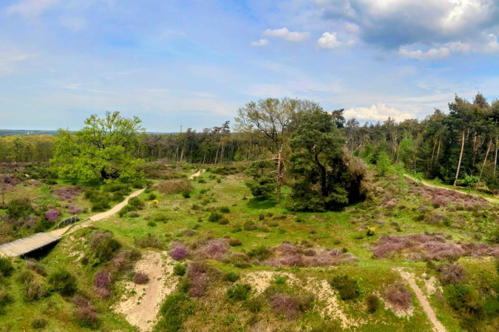 Landschap langs het nieuwe langeafstandspad Rondje Limburg. 