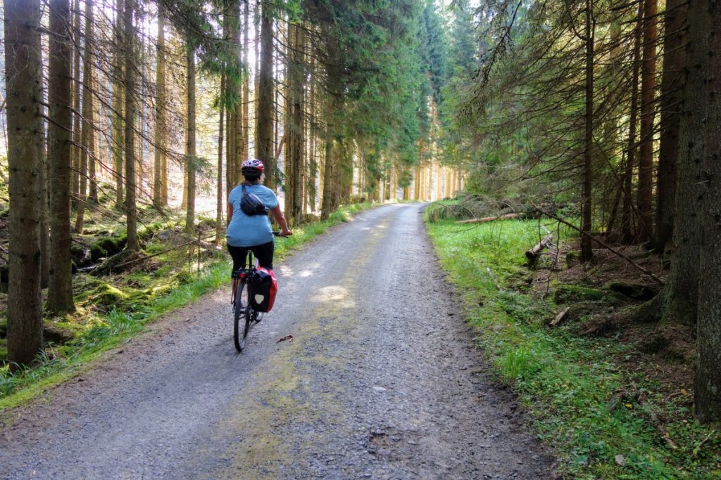 Fietsster op de Iron Curtain Trail