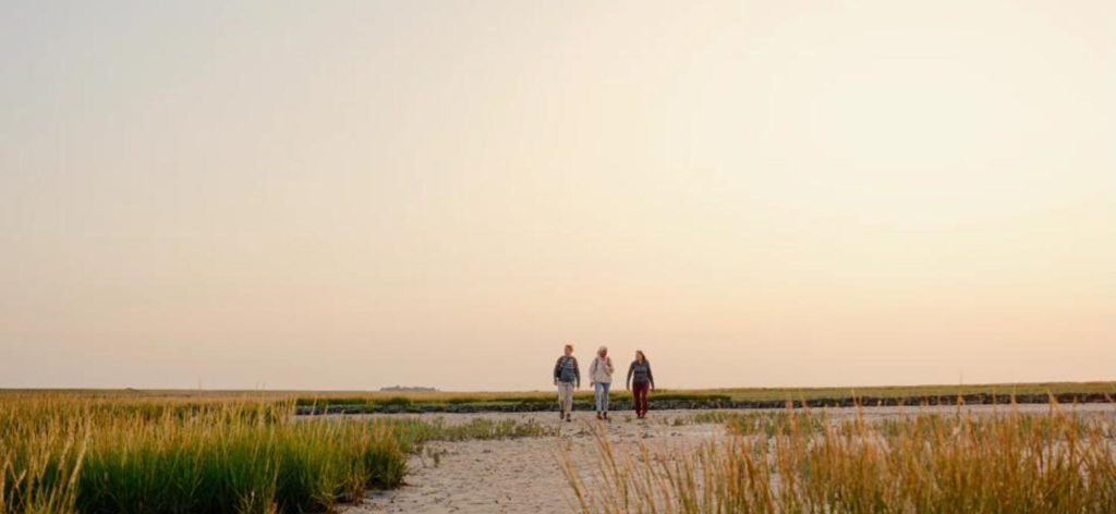 Wandelaars op het Ziltepad