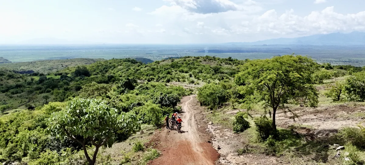 Fietsers in het groene Oeganda