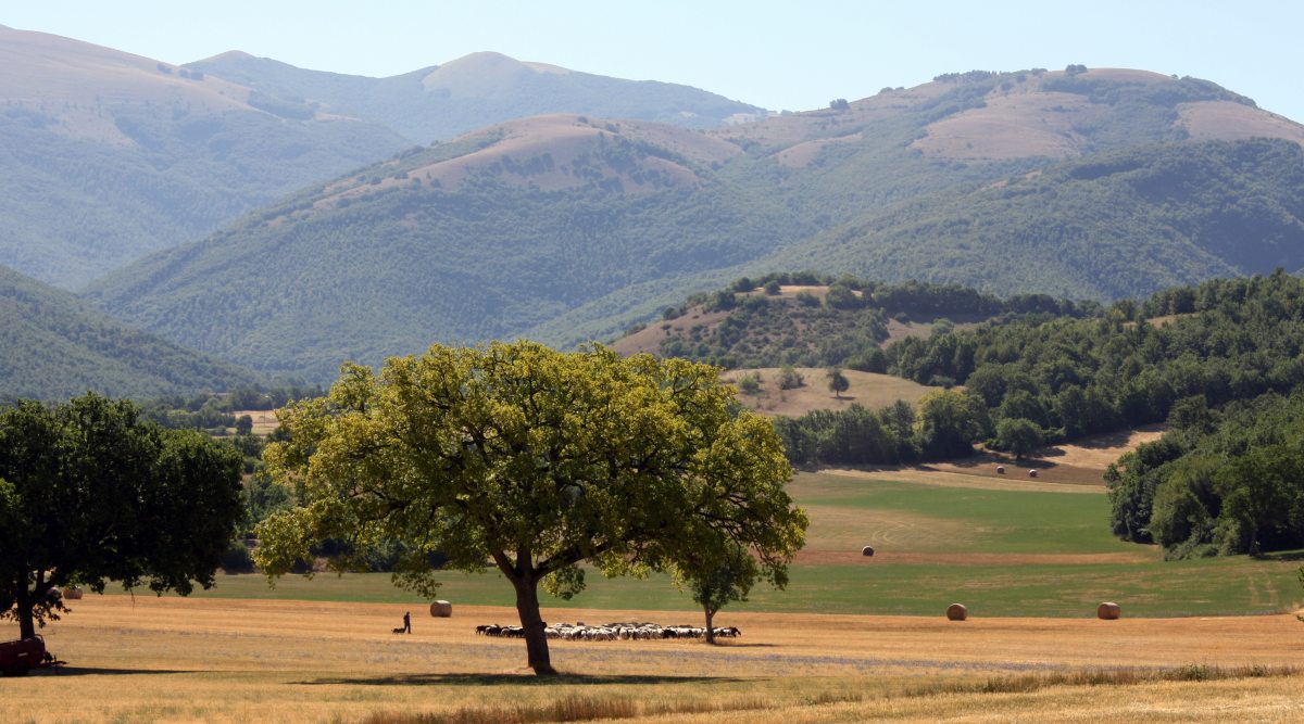 Landbouwveld en bergen langs de Cammino di San Benedetto