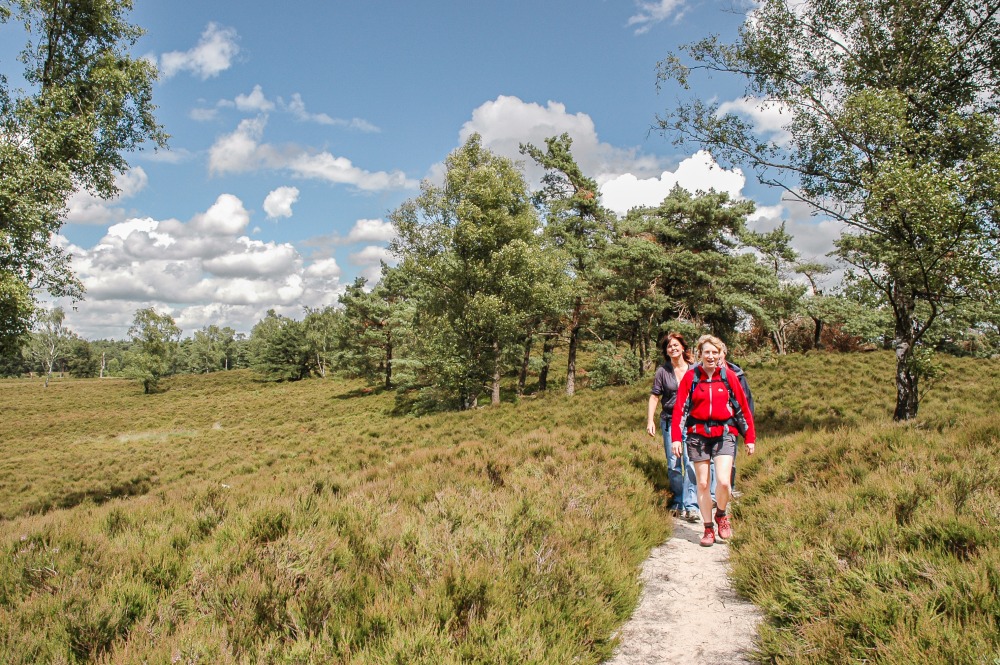 Wandelen aan de randen van de Veluwe
